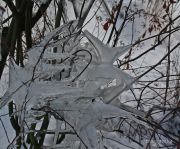 Bild 067aa