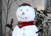 Bild 131aa