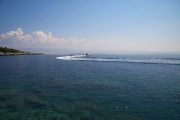 IMG 4110 w1