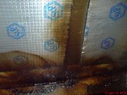 DSC00737 - �����