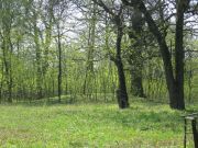 IMG 0743