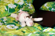 IMG 0472aa