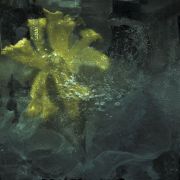  MG 2588