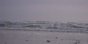 DSCN6647a
