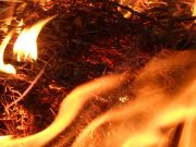 ����, �� �������� � ����..