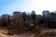 IMG 8688