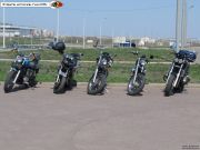 �������� ���������� 2011 (6)