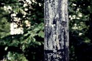 Bild 085aa