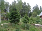 IMGP4674
