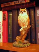 �� ������ ��������� �����