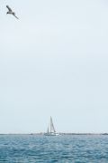 IMG 5056