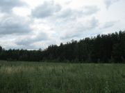 IMG 3215