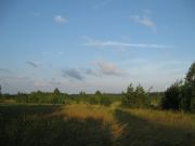 IMG 3250