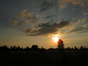 IMG 3261