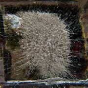  MG 6124