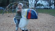 DSC00770