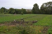 DSC 0001