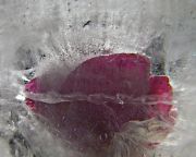  MG 2376