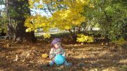 DSC00967