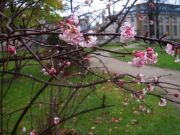 DSCN0219