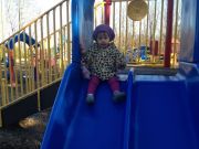 IMG 0420