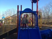 IMG 0423