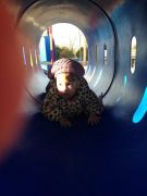 IMG 0438
