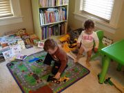 IMG 0504