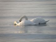 вместе!