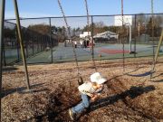 IMG 0810