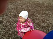 IMG 0873