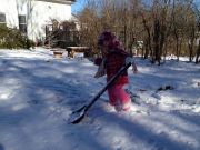 IMG 0957