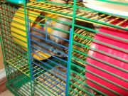 DSCF0349