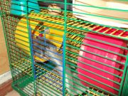 DSCF0350