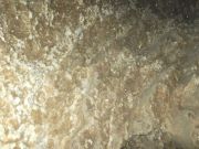 DSCF0354