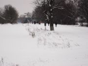 DSCF0365