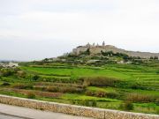 IMG 0079a