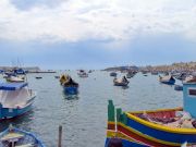 IMG 0097a