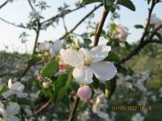 IMG 4192