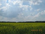IMG 4298