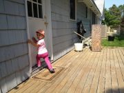 IMG 3341