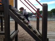 IMG 3615