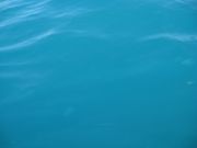 IMG 8294
