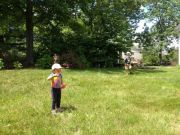 IMG 4018