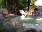 IMG 4089