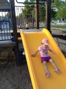 IMG 4230