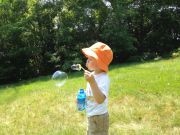 IMG 4251