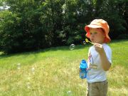 IMG 4253