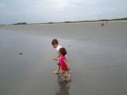 IMG 5081