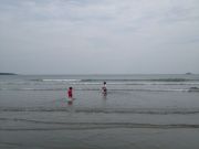 IMG 5101